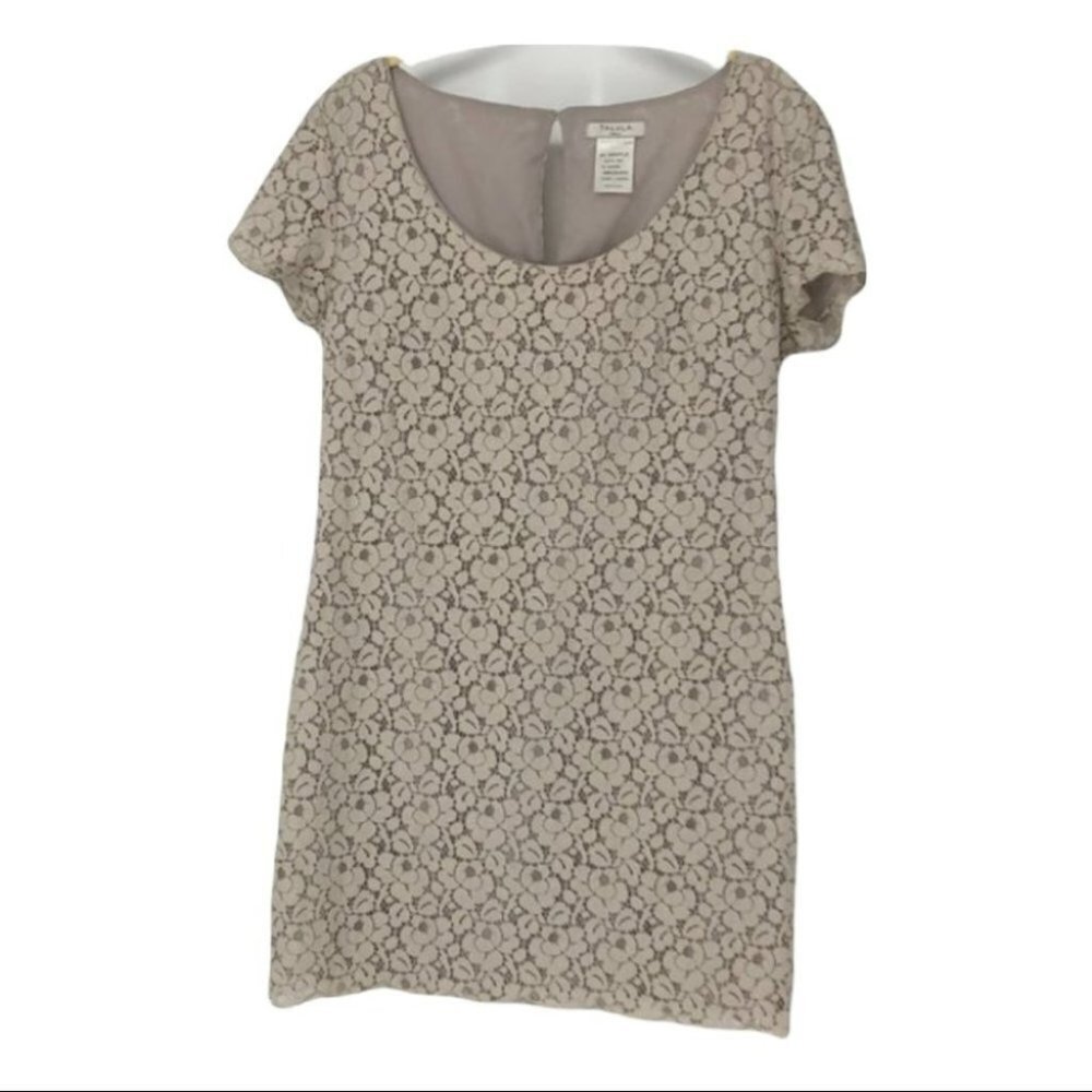 Talula  Creme taupe lace scoop neck mini dress/tunic blouse small